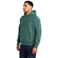 Champion Men's Reverse Weave cotton Pullover Garment-Dyed Comfortable Hoodie