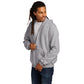 Champion Men's Powerblend Premium Quality Comfortable Full-Zip Multicolor Hoodie